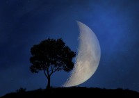 mesiac-strom.jpg